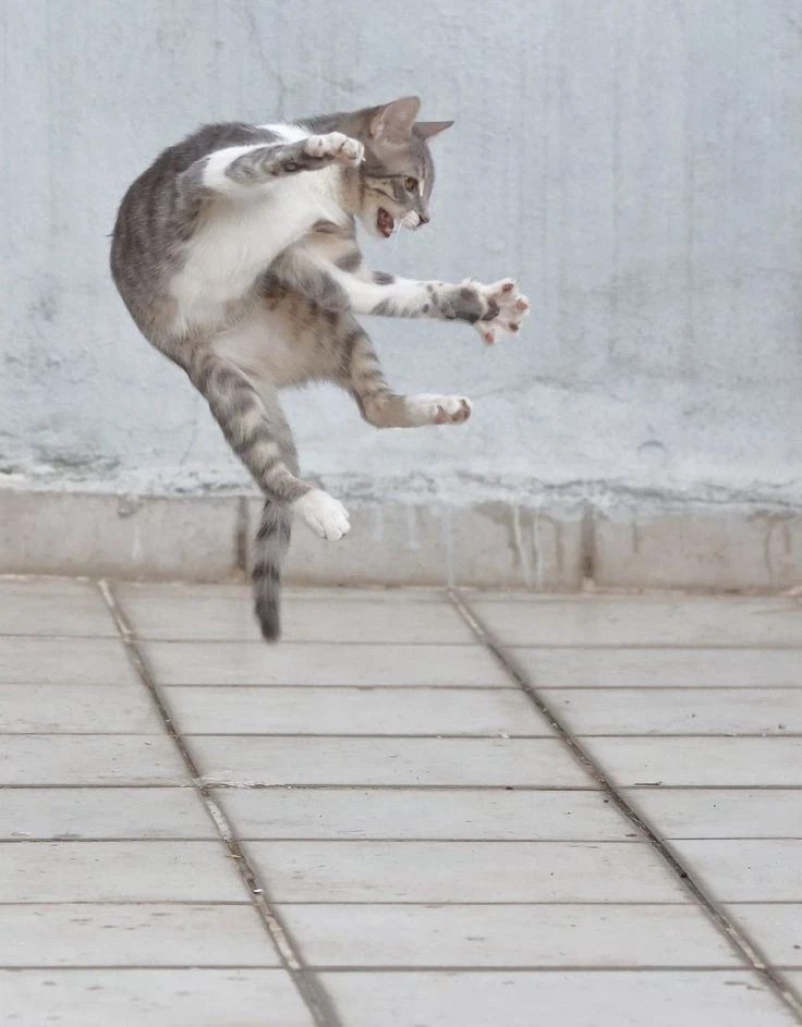 틈새시장을 노리고 만화를 그려야지!.humor_4.webp