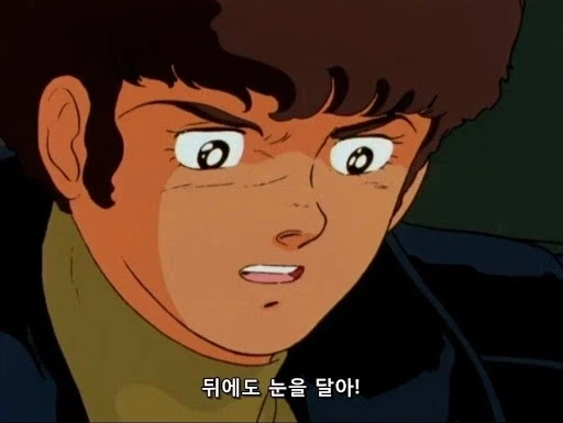트럭이나 화물차 뒤에 눈알 스티커를 붙이는 이유.jpg_1.webp