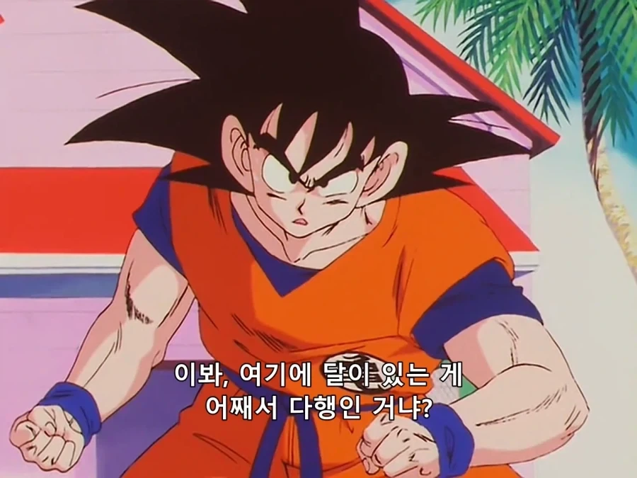 드래곤볼) 오랬동안 궁금했던 의문이 풀린 순간_2.webp