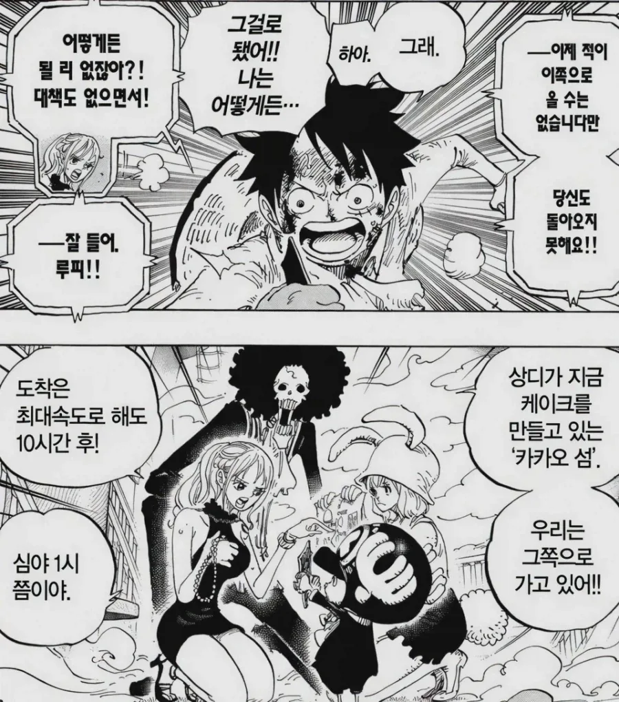 원피스) 무모함에 완전히 적응해버린 항해사_12.webp