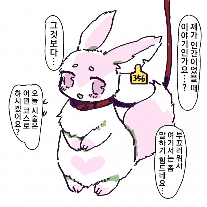 만화 킹덤 특징 얘네는 그냥 방화가좋음 대표 이미지