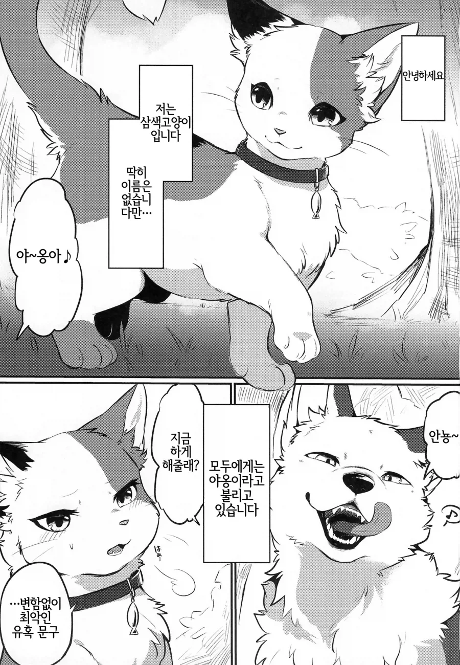 애니메이터 작업책상 레전드 대표 이미지