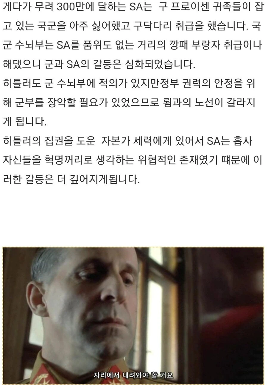 히틀러악의탄생)