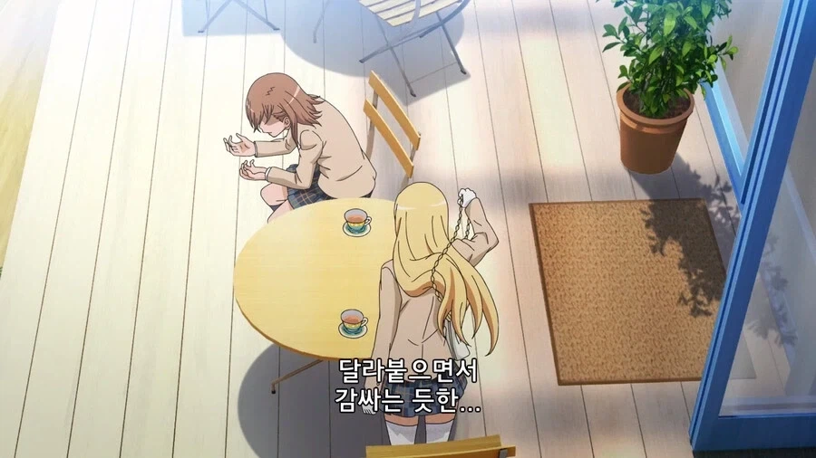 초전자포) 미사카가 식봉이 젖만 보면 지능이 떨어지는 이유_13.webp