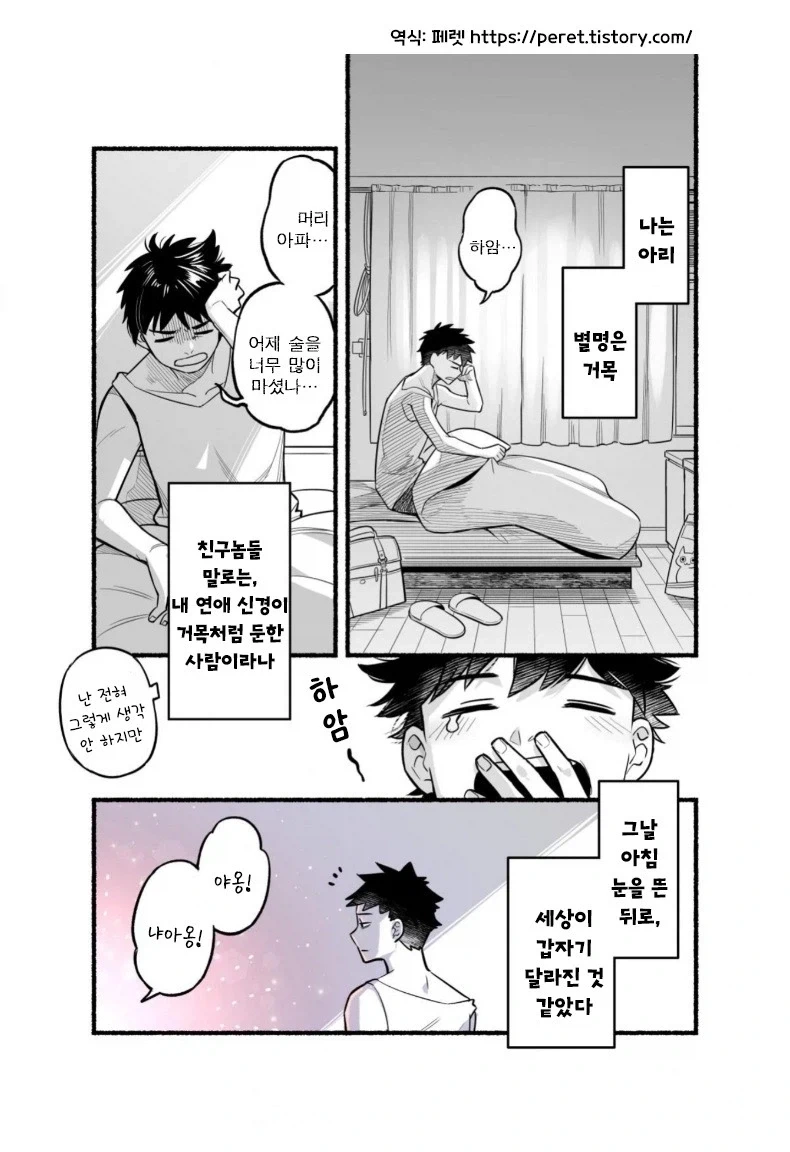 NTR)모두가 좋아하는 네토라레 만화를 가져왔다구!! 이미지 3