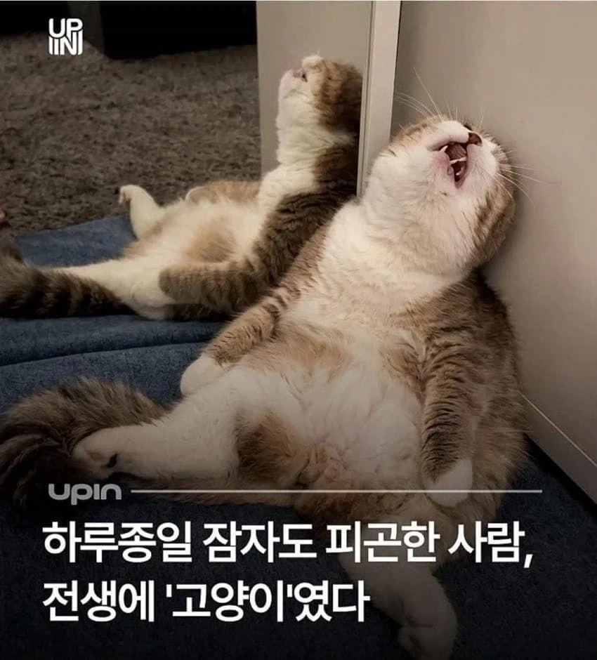 죄다 안전불감증이지만 어쩐지 안전한 만화 이미지 6