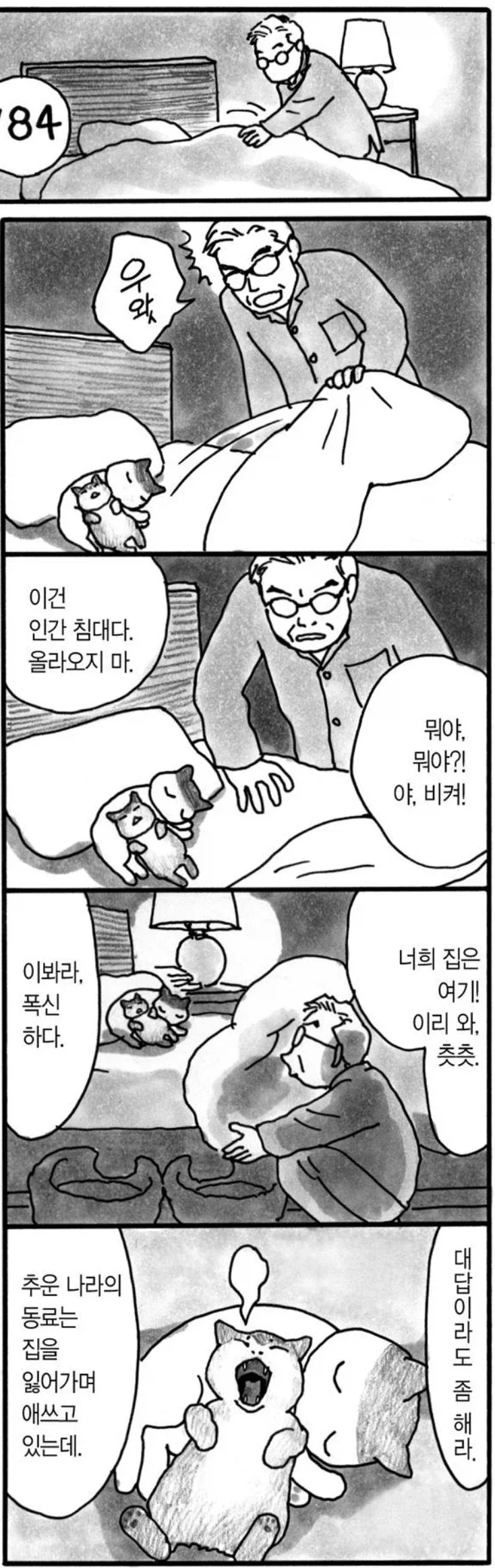 세일러문X마법소녀 마도카 마기카...? 대표 이미지