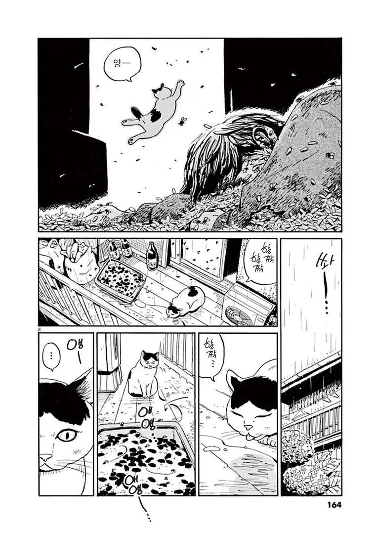 집고양이 분짱의 일년.manga_8.jpg
