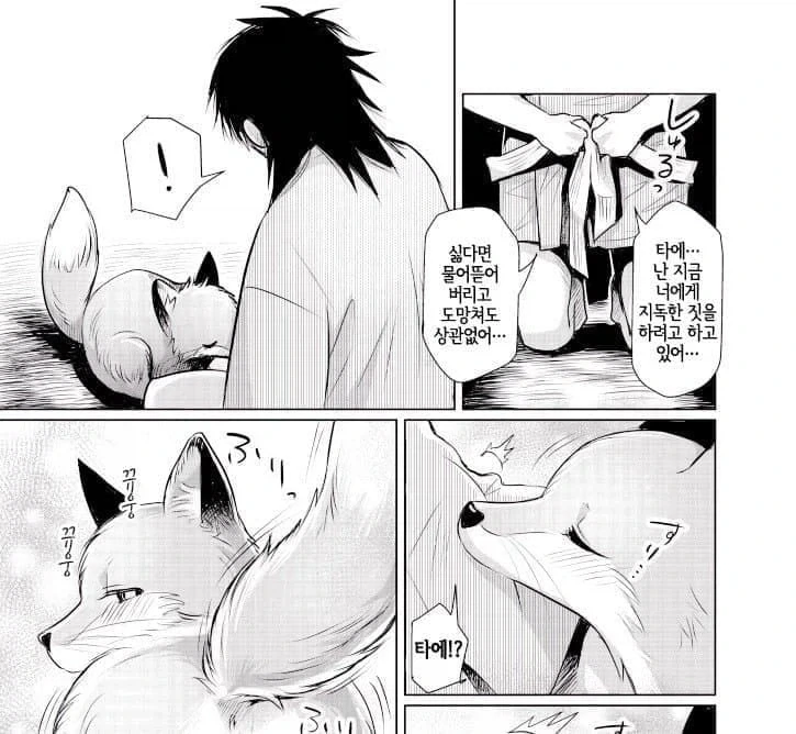 은혜 갚는 여우.manhwa_3.webp
