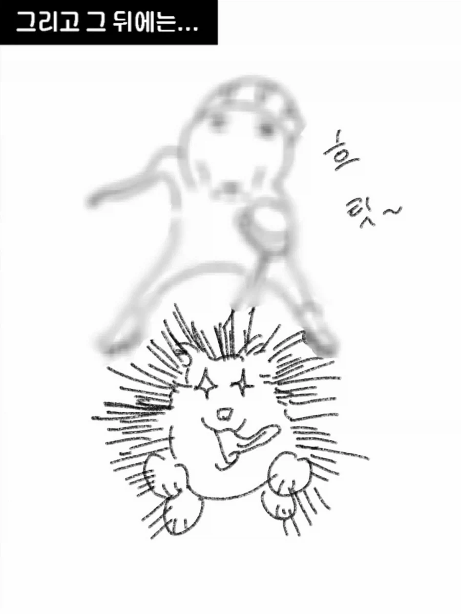 사랑이란 서로의 속도를 맞추는 것.manwha_4.webp