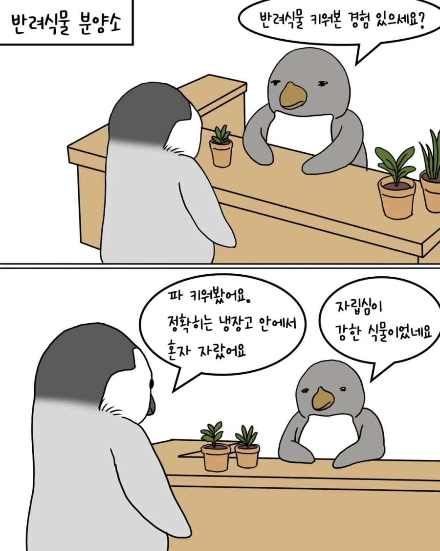 페이트 스테이 나이트 - 당신이 있던 숲 대표 이미지