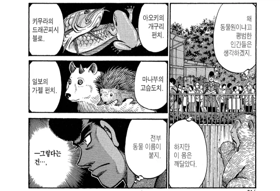 건담)한 여자를 두고 싸우는 이 친구들은 대표 이미지
