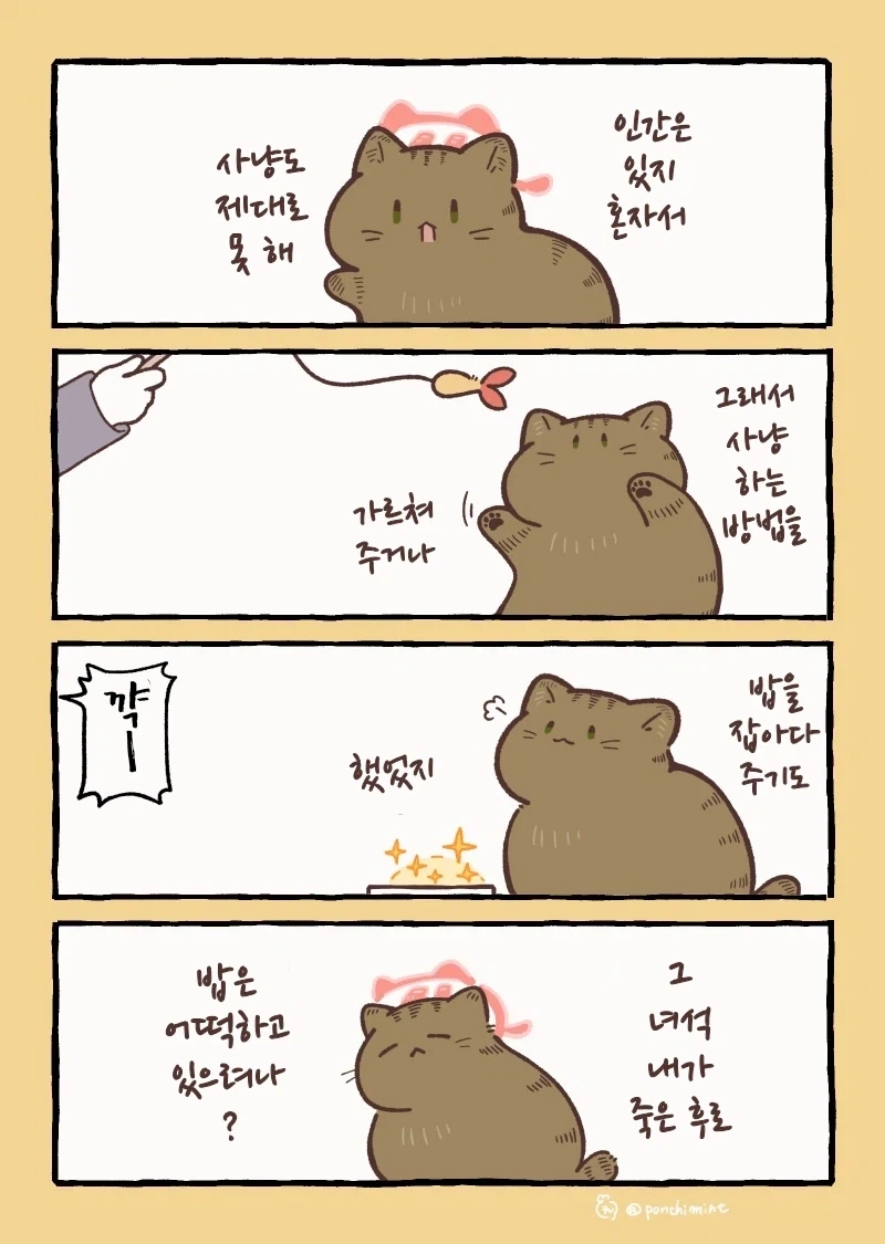 아줌마는 파문 전사 대표 이미지