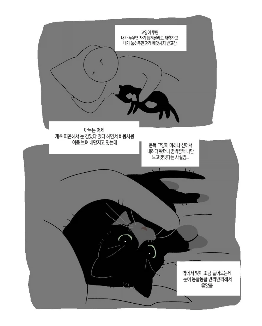 나야! 나! 사기치는.manhwa 이미지 2