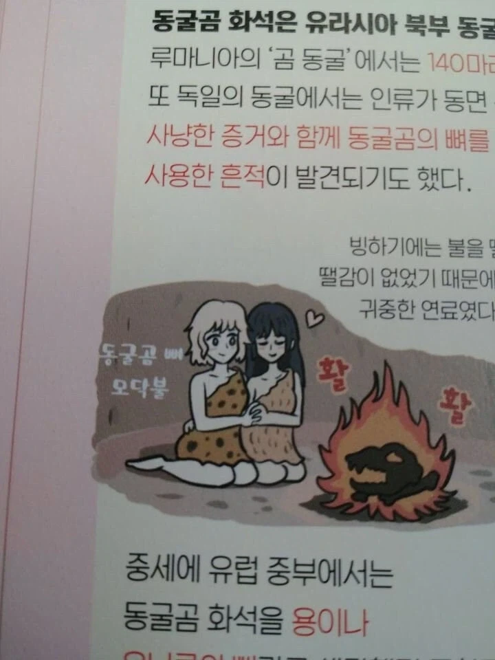 모든 드래곤을 몰살시킨 모험가가 보상을 받는 만화 manhwa 이미지 2