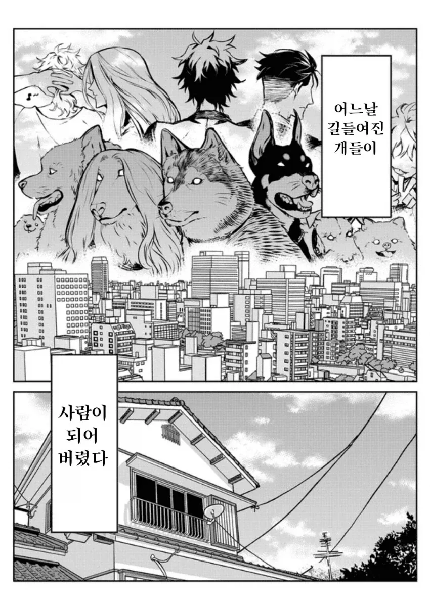 매리지톡신) 폭력적인 햄찌술사 대표 이미지