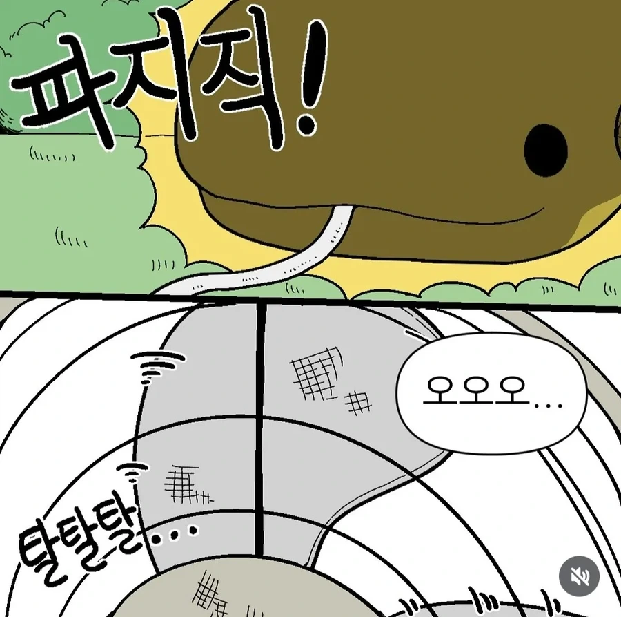 뱀들의 여름나기.manhwa_6.webp