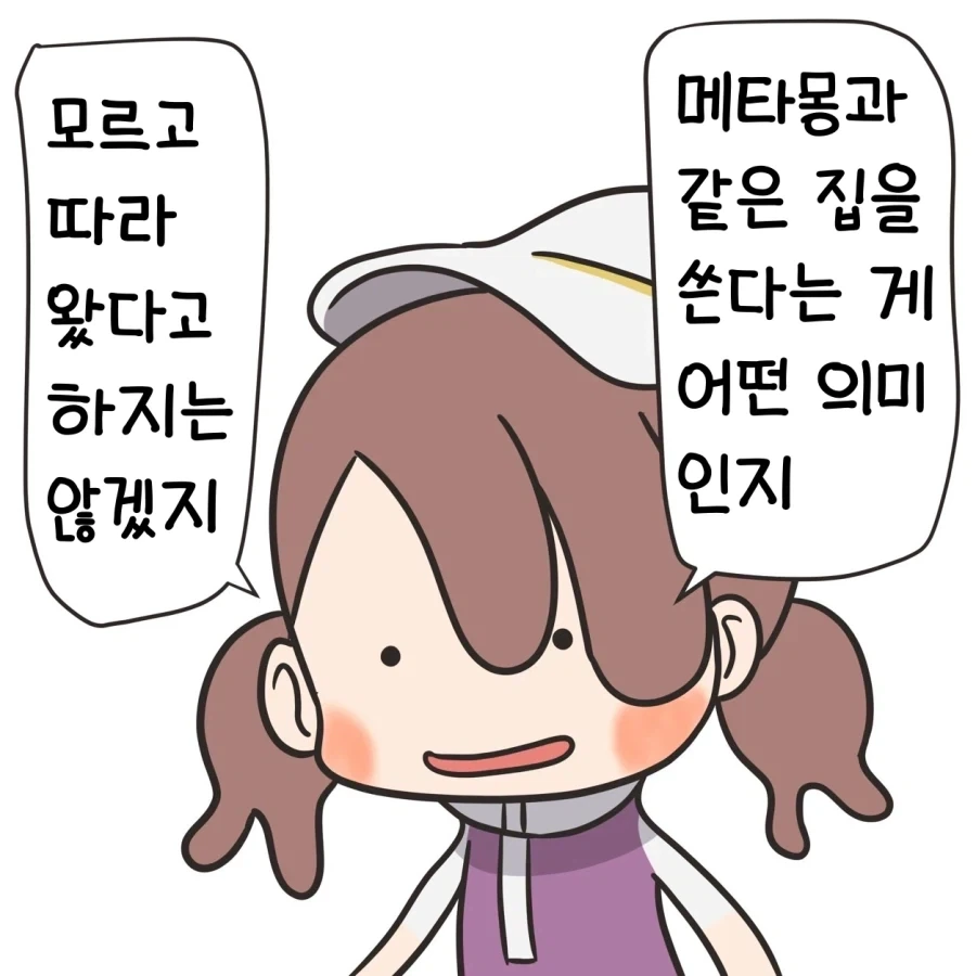 메타몽이랑 같이자는 만화_2.webp