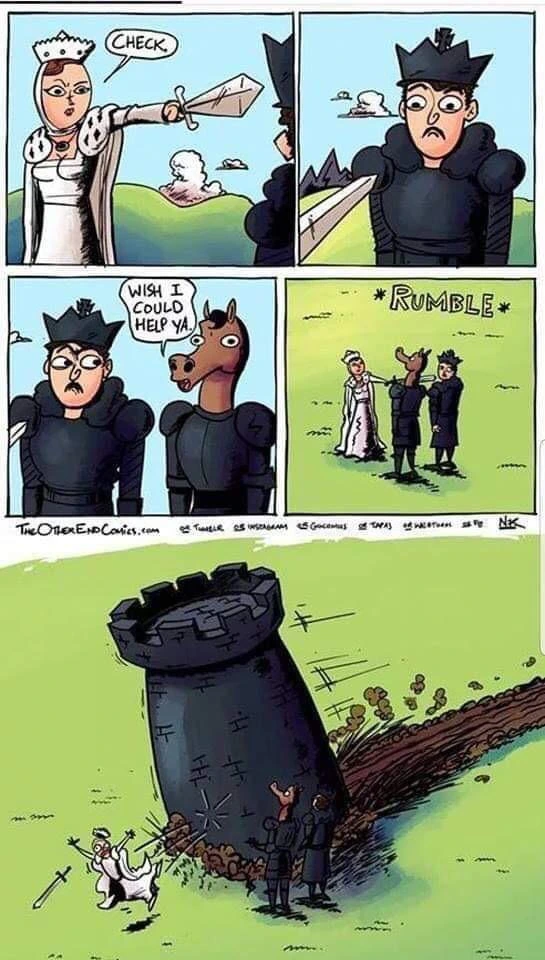 체스 만화_1.jpg