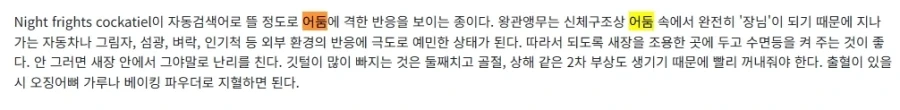 원피스) 앵무새썰이 사실이라면은_2.webp