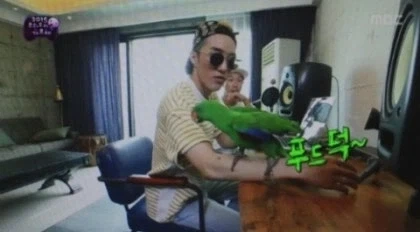 원피스) 임 앵무새설도 예언한 무한도전_2.webp