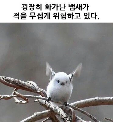 고대인들 꼴알못 아님? 만화 대표 이미지