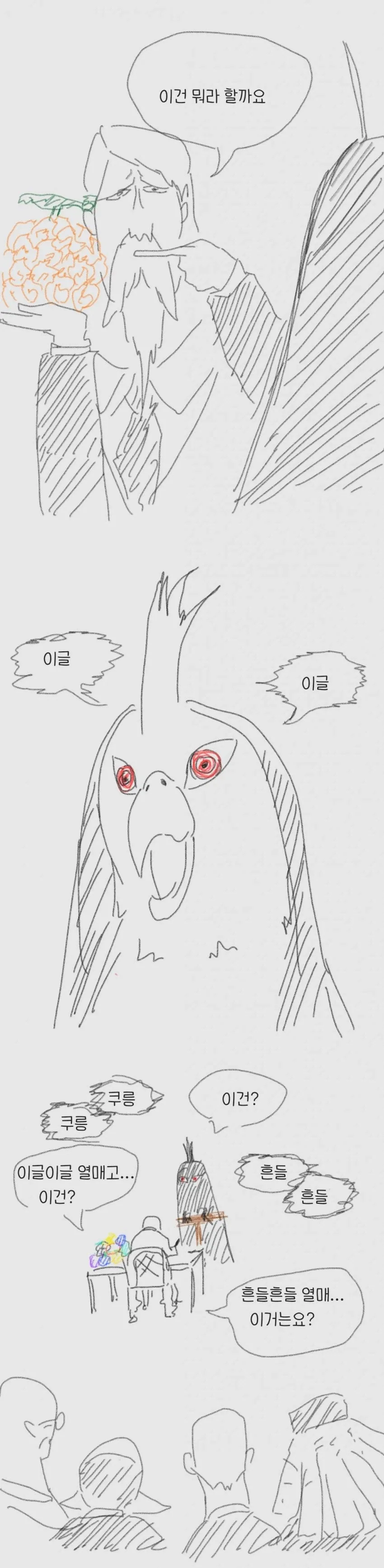 원피스) 해적 만화에 앵무새랑 원숭이 구도가 성립된거지 이미지 3
