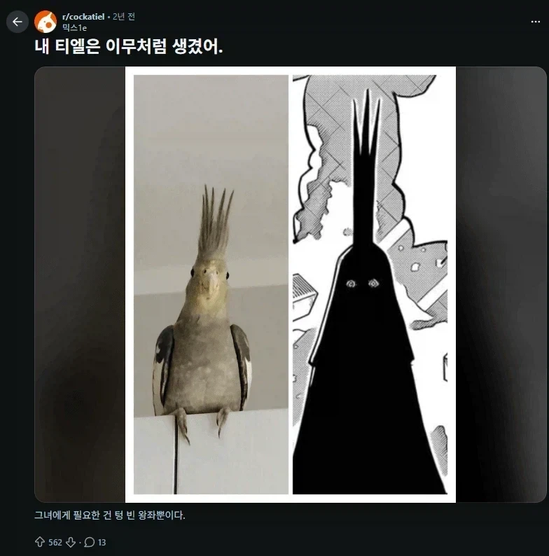 건담) 트라이온3 샀는데 개웃기네ㅋㅋㅋㅋ 대표 이미지