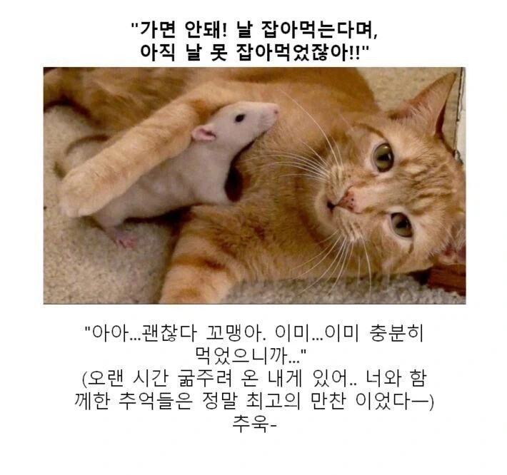 섹파녀한테 ㅅㅅ를 거절당한 남자.manhwa 이미지 2