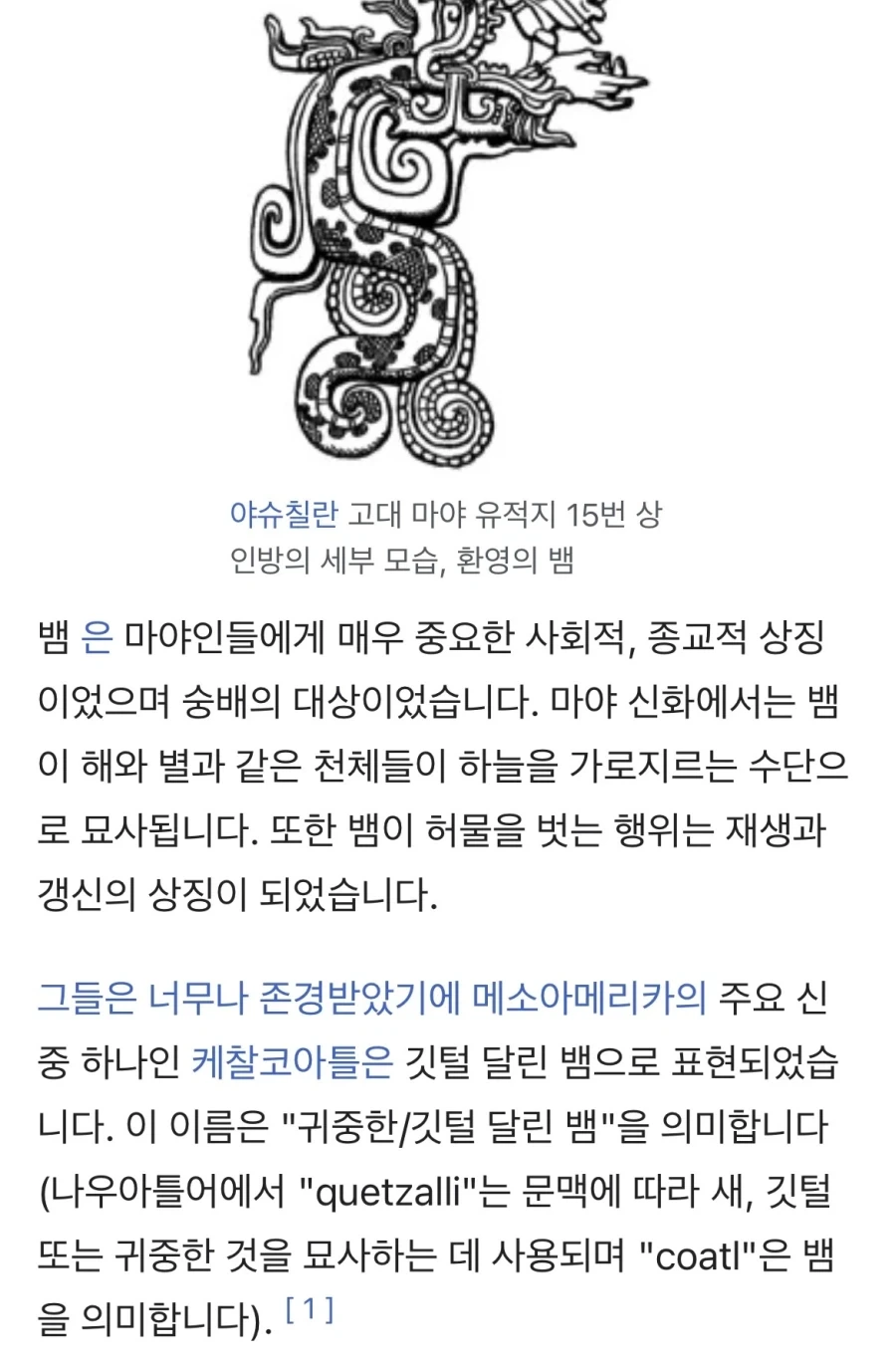 원피스) 행콕 떡밥 이거 나온적 있음?_3.webp