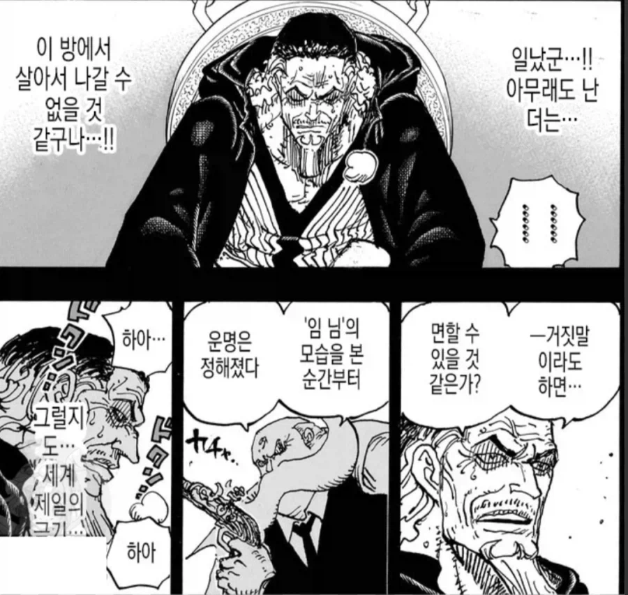 원피스) 멀리서보면 존나재밌는데 가까이서보면 아님..._2.webp