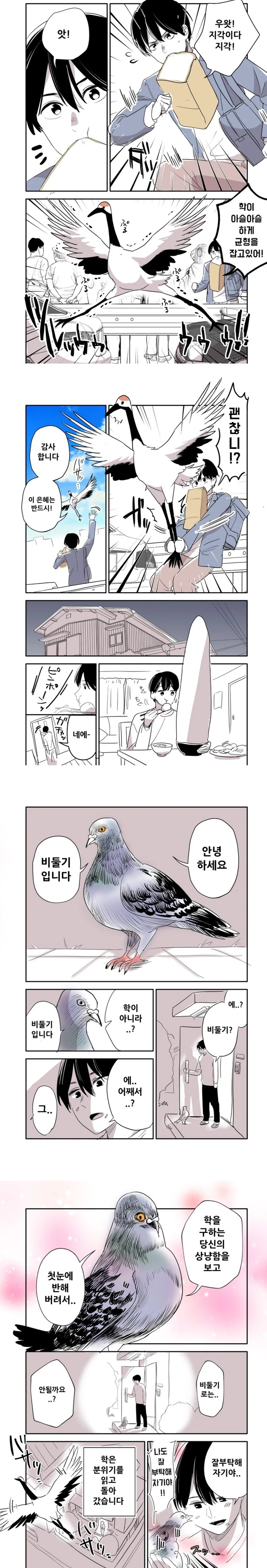 깡깡단을 절대 얕보면 안됨 대표 이미지