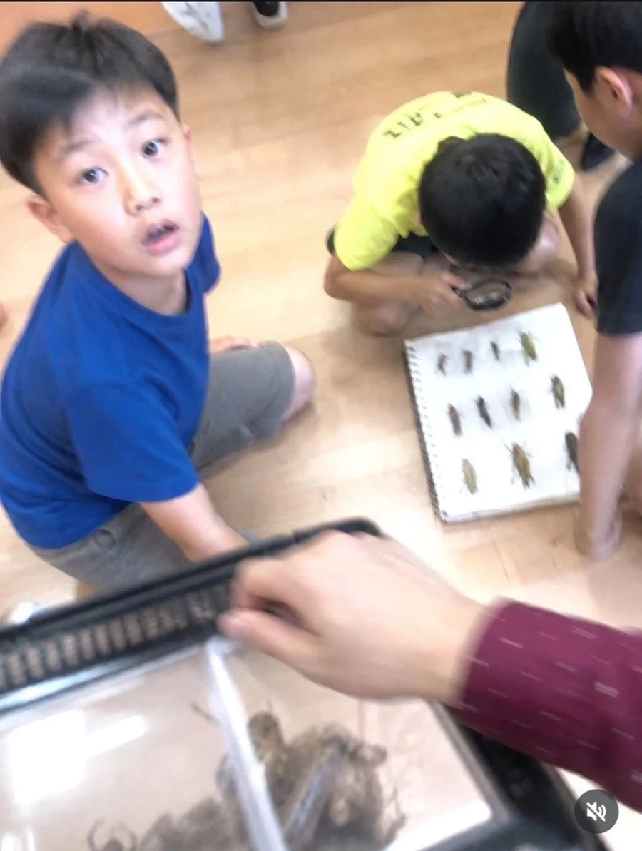 원피스) 앵무새론 진짜 동화 같은 모험 이야기 같음ㅋㅋㅋㅋ 대표 이미지