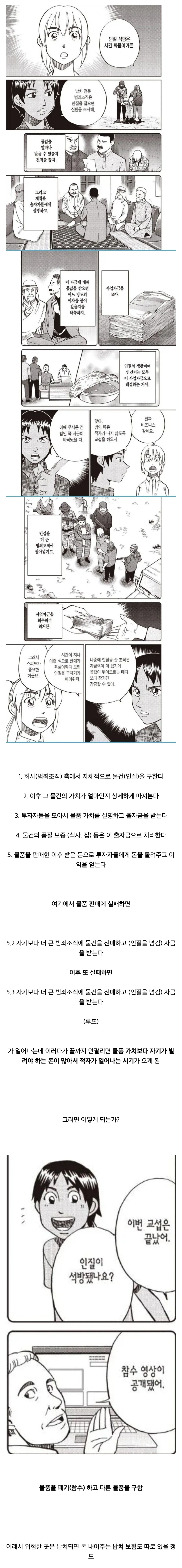 원피스) 천룡인이 동물이라면 성립되는거 대표 이미지