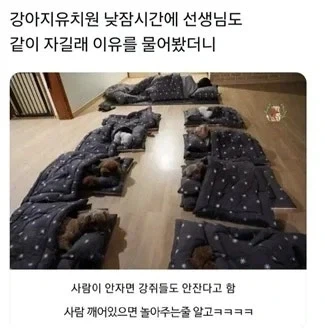 트릭컬) 미국식 유머 ㅋㅋㅋ 대표 이미지