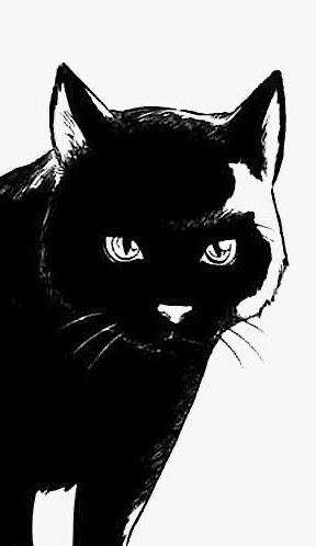 manga_2371856_002.webp