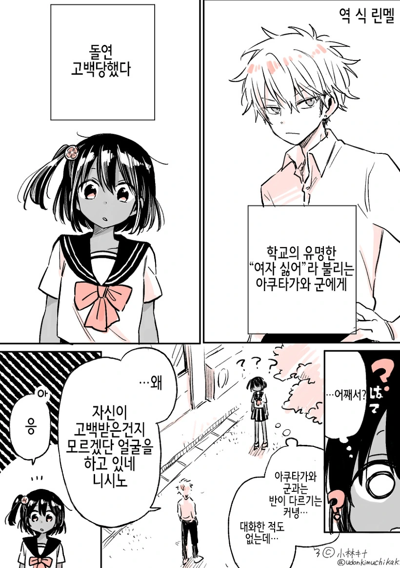 북미 애니 더빙에 자주 나오는 거 대표 이미지