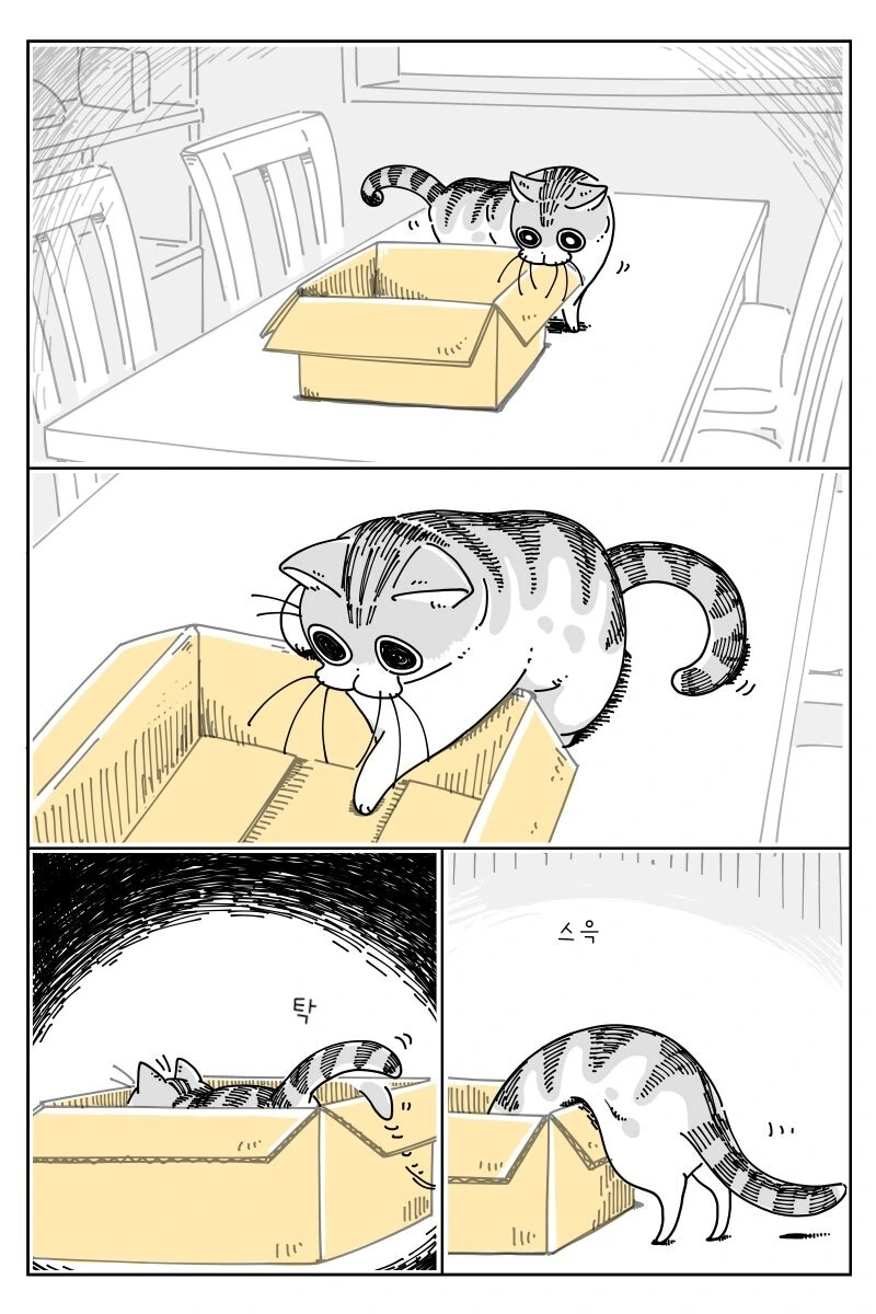 전철을 잘못 탄 여학생.manhwa 이미지 2
