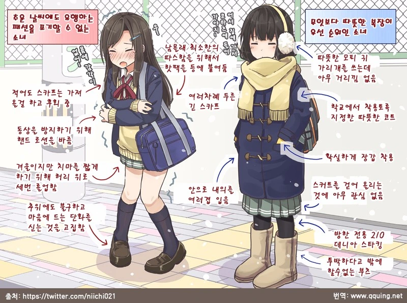 원피스)앵무새이론마저 만화같음 대표 이미지