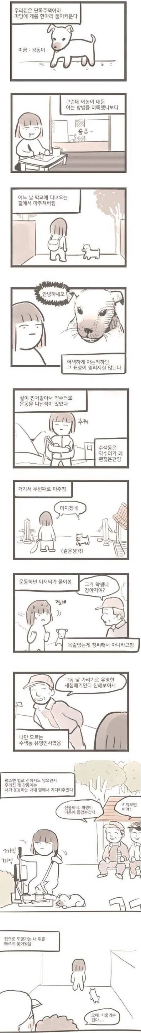 [원피스] 동물들이 인간으로 변했다면 한방에 납득이 가능해지는 설정 대표 이미지