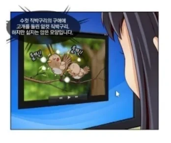 manga_1538848_005.webp