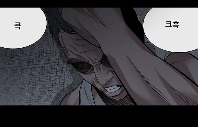 manga_2369999_033.webp