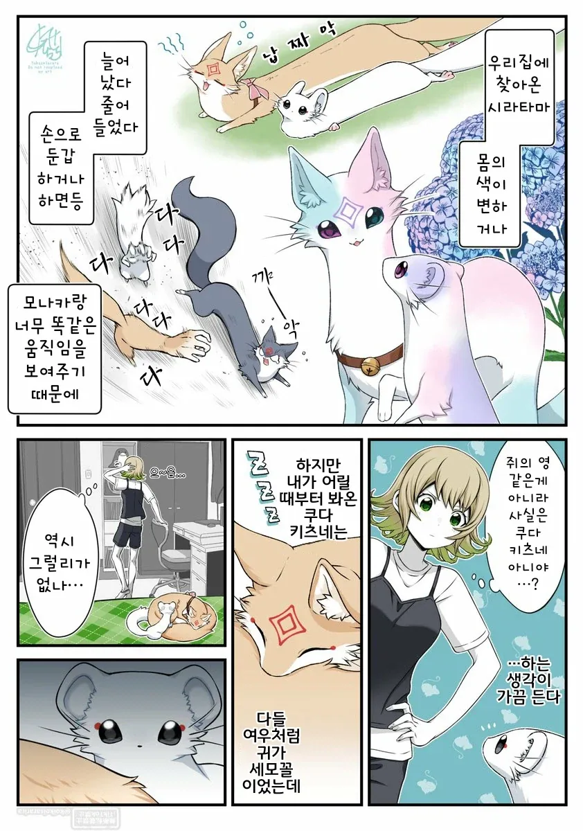 버튜버) 스바루 : "인류 모두가 약자다! 나도, 너도!" 대표 이미지