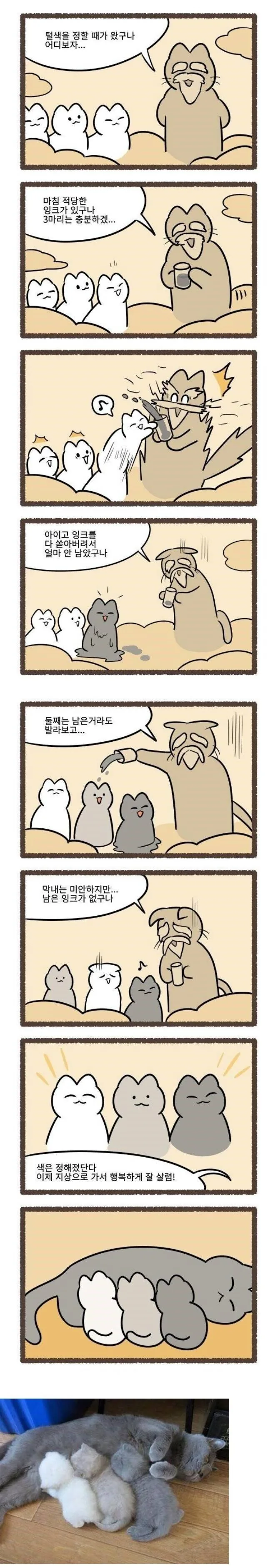 어떤 미망인이 재혼 안하는 이유 대표 이미지