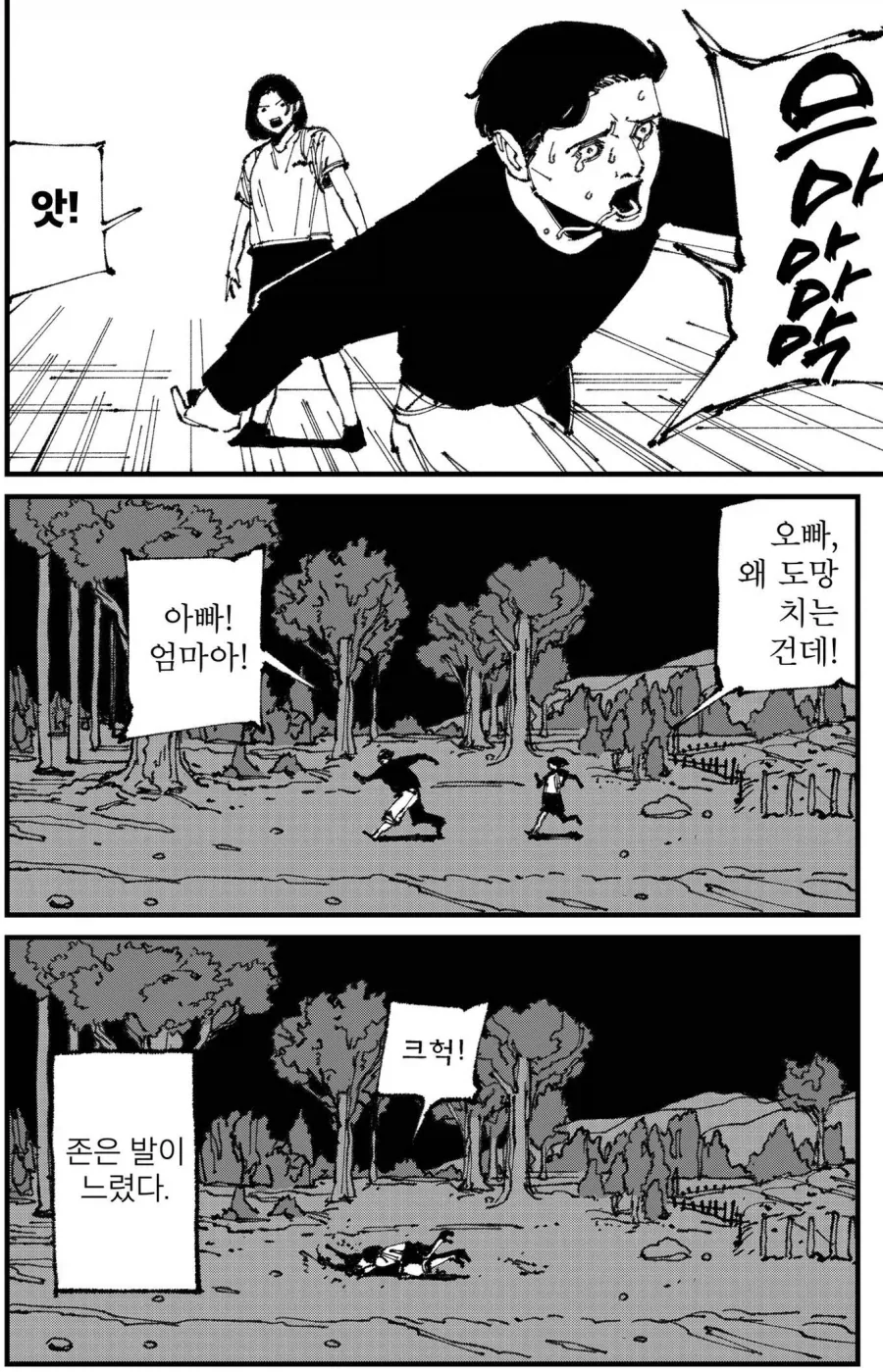 UFC를 감명 깊게 본 여동생이 오빠에게 한판 하자는 만화_4.webp