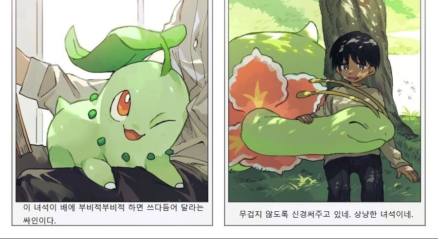 manga_3501981_006.webp