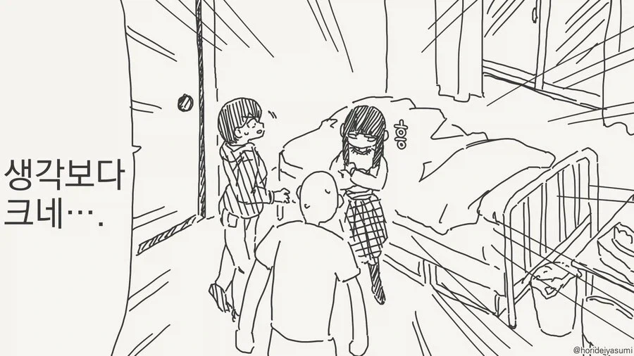 호리데이)
