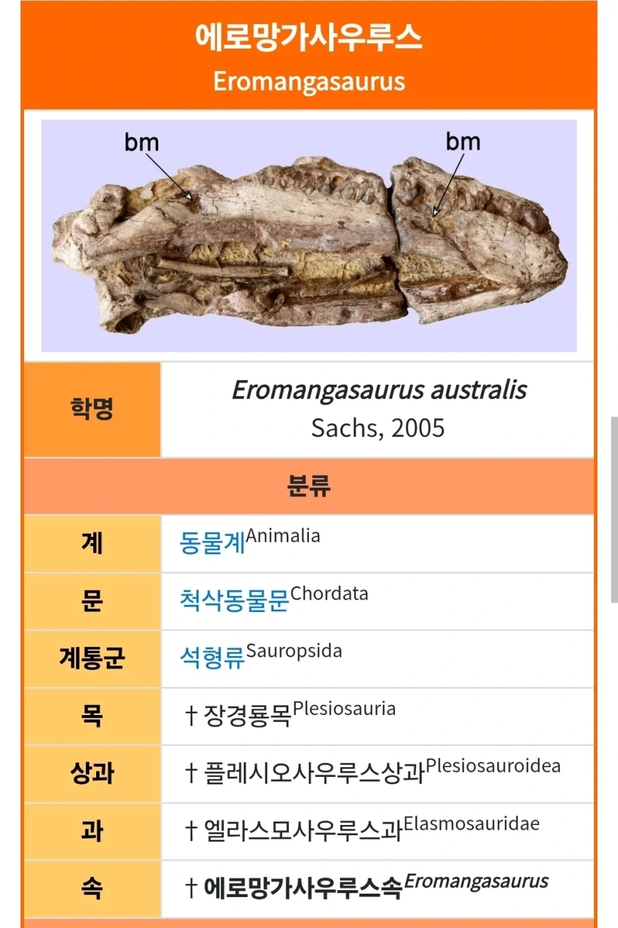 에로망가 섬에 에로망가사우르스_2.webp