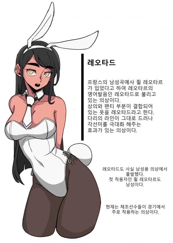 바니걸에 대해 알아보는 만화_10.webp