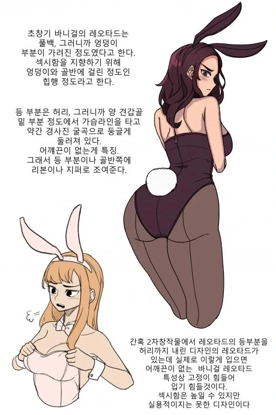 바니걸에 대해 알아보는 만화_12.webp